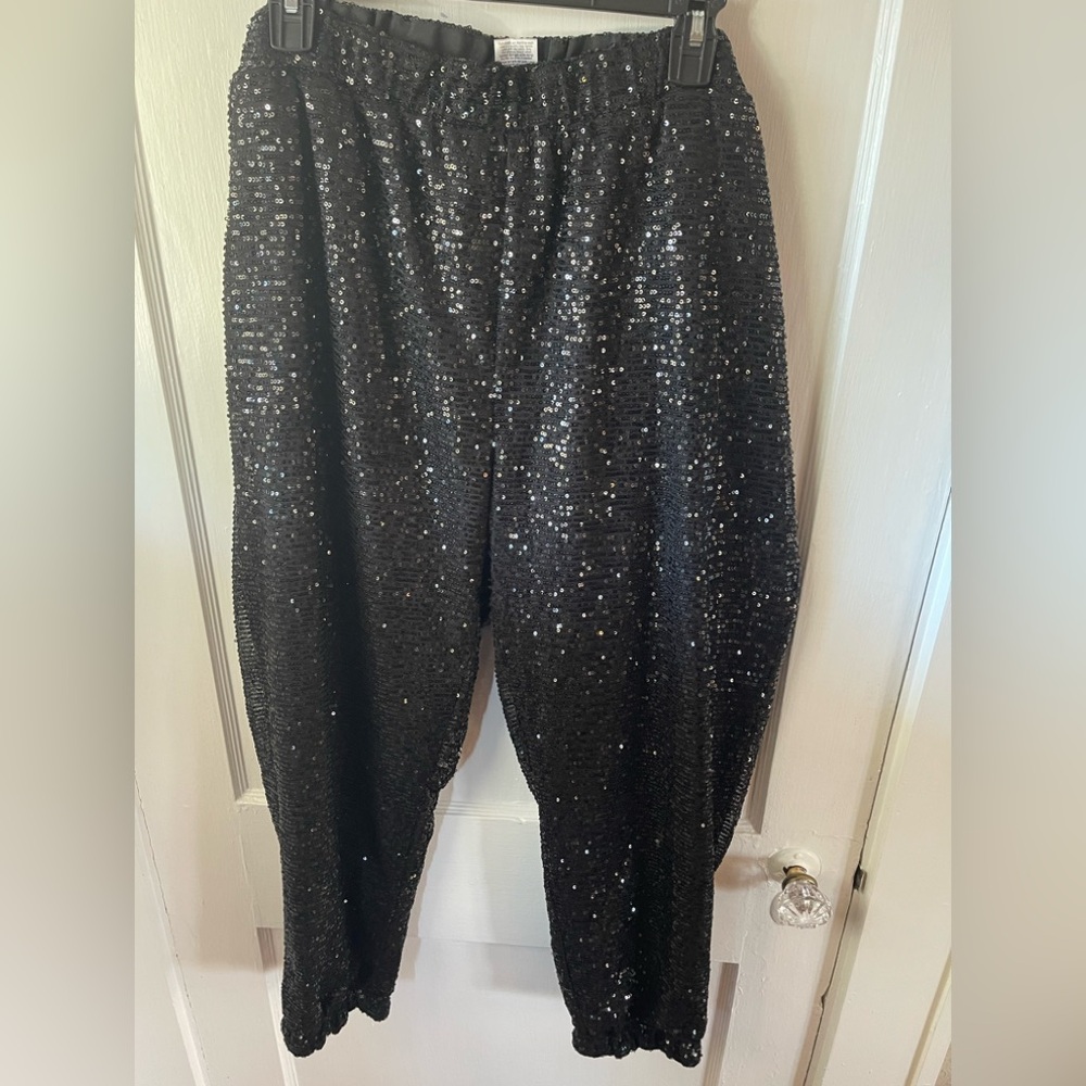Serra lined, Black Sequin Pants, size XL, never worn